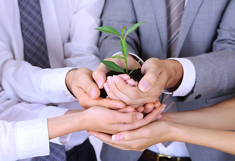 Experts in SHEA ~ Safety, Health & Environmental Affairs